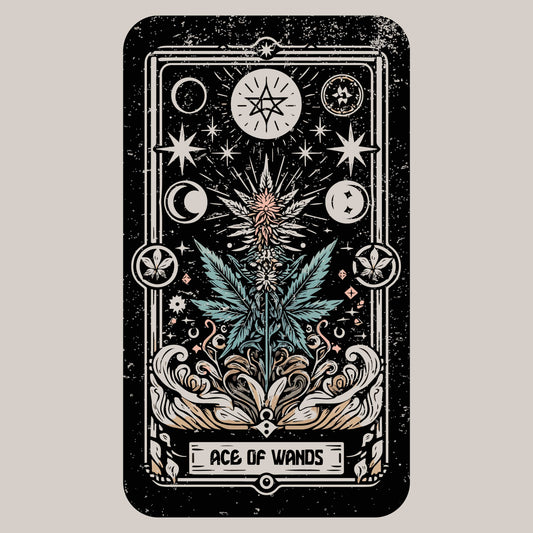 keep going - ace of wands - t-shirt