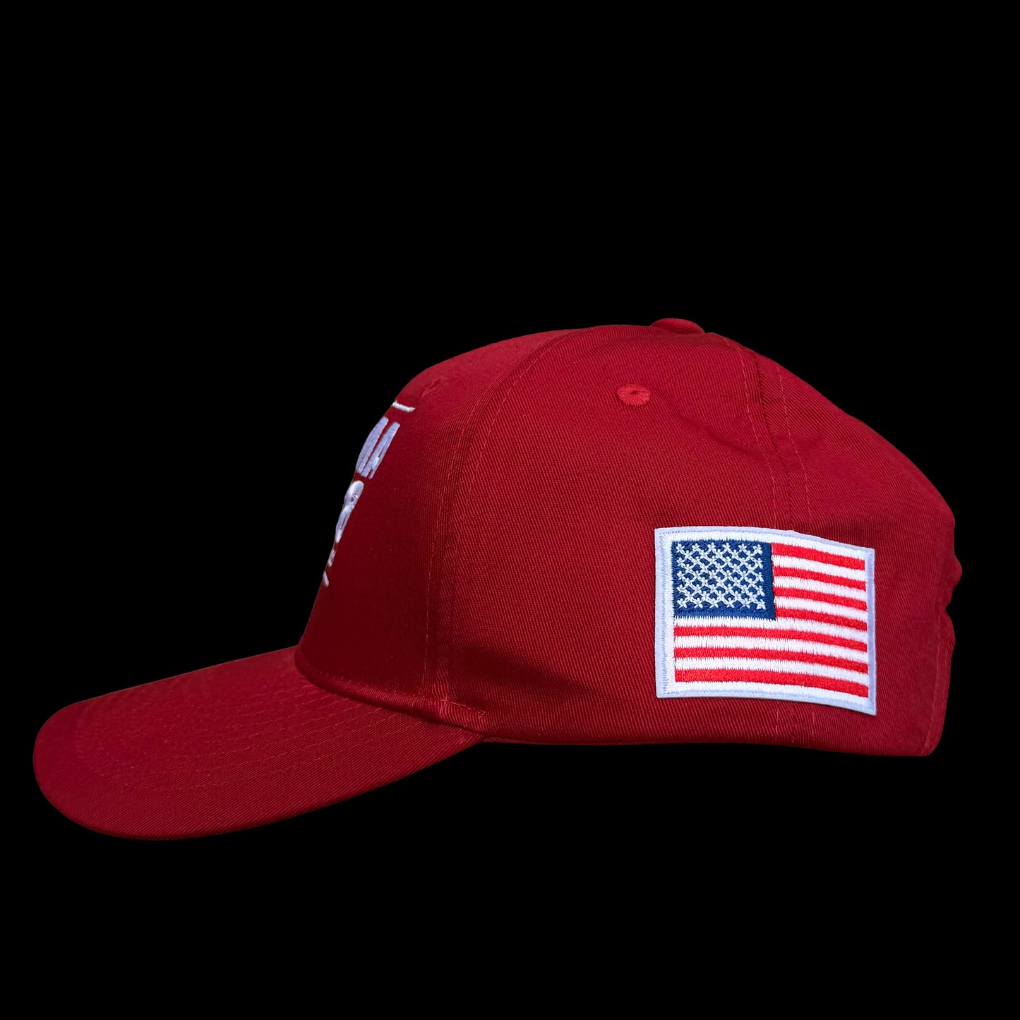 OBAMA 2028 Hat